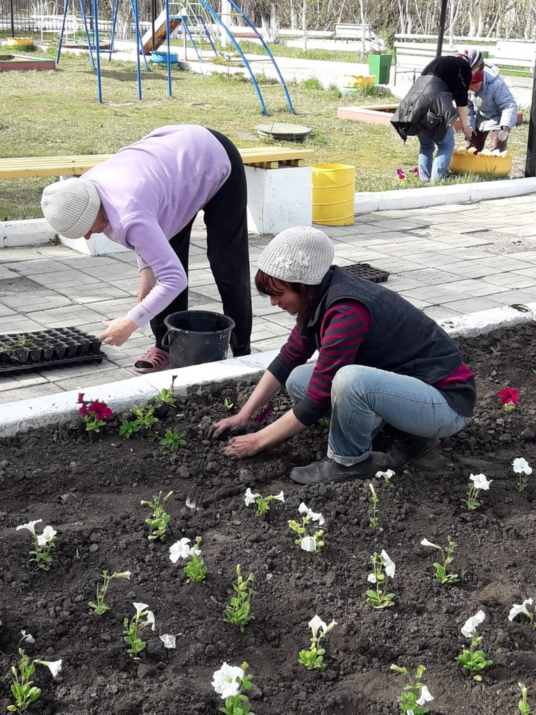 Сәндік гүлдер түрлері гүл өсіру шаруашылығындағы көктемгі жұмыстар презентация